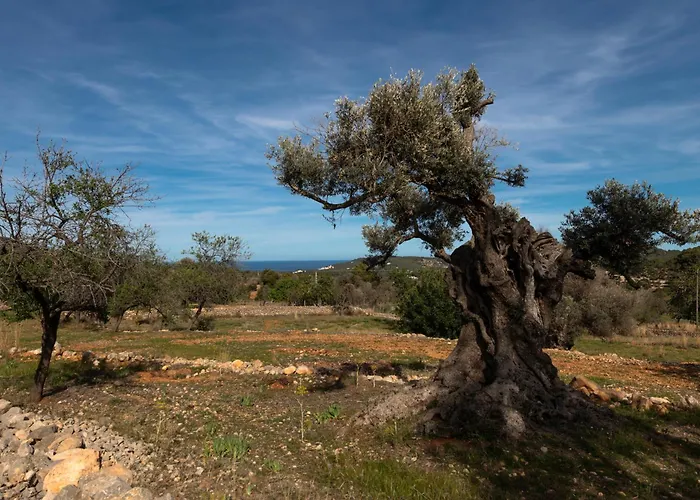 Agroturismo Rural Can Prats