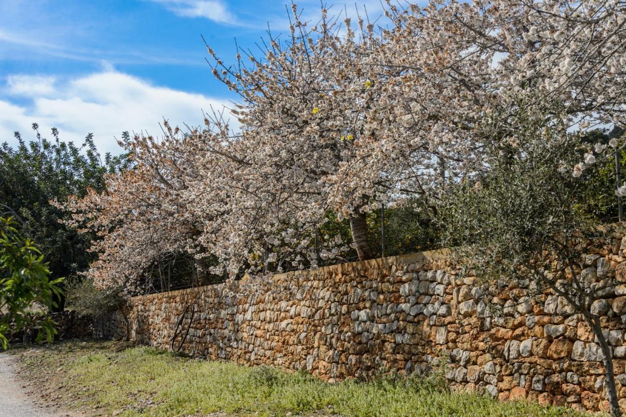 Apartament Rural Prats *
